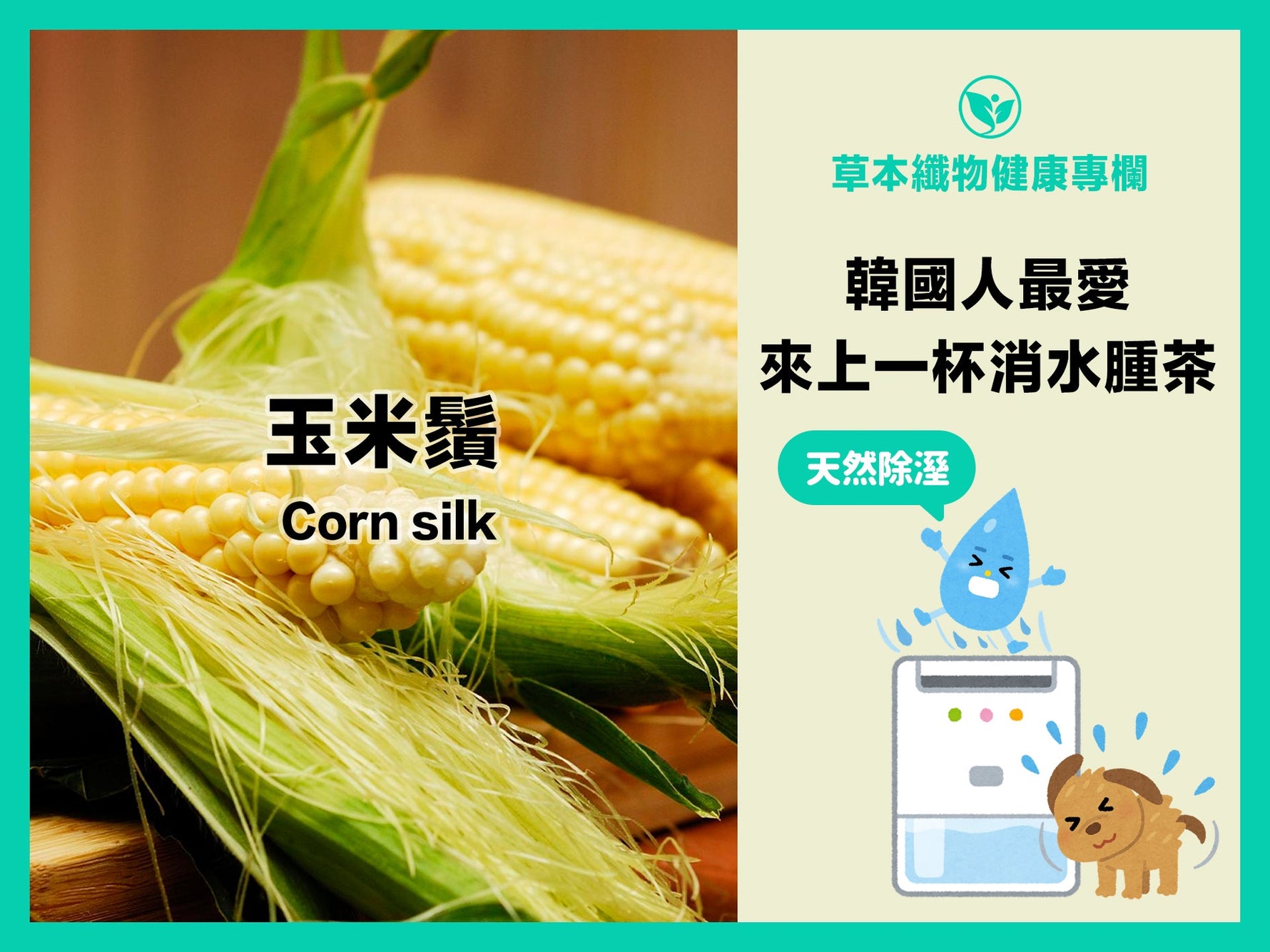 與紅豆並駕齊驅的消水腫神器「玉米鬚」！