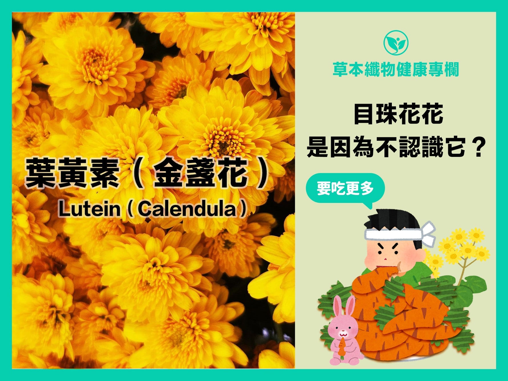 葉黃素能有效吸收藍光、降低自由基的形成！把對眼睛的傷害降到最小