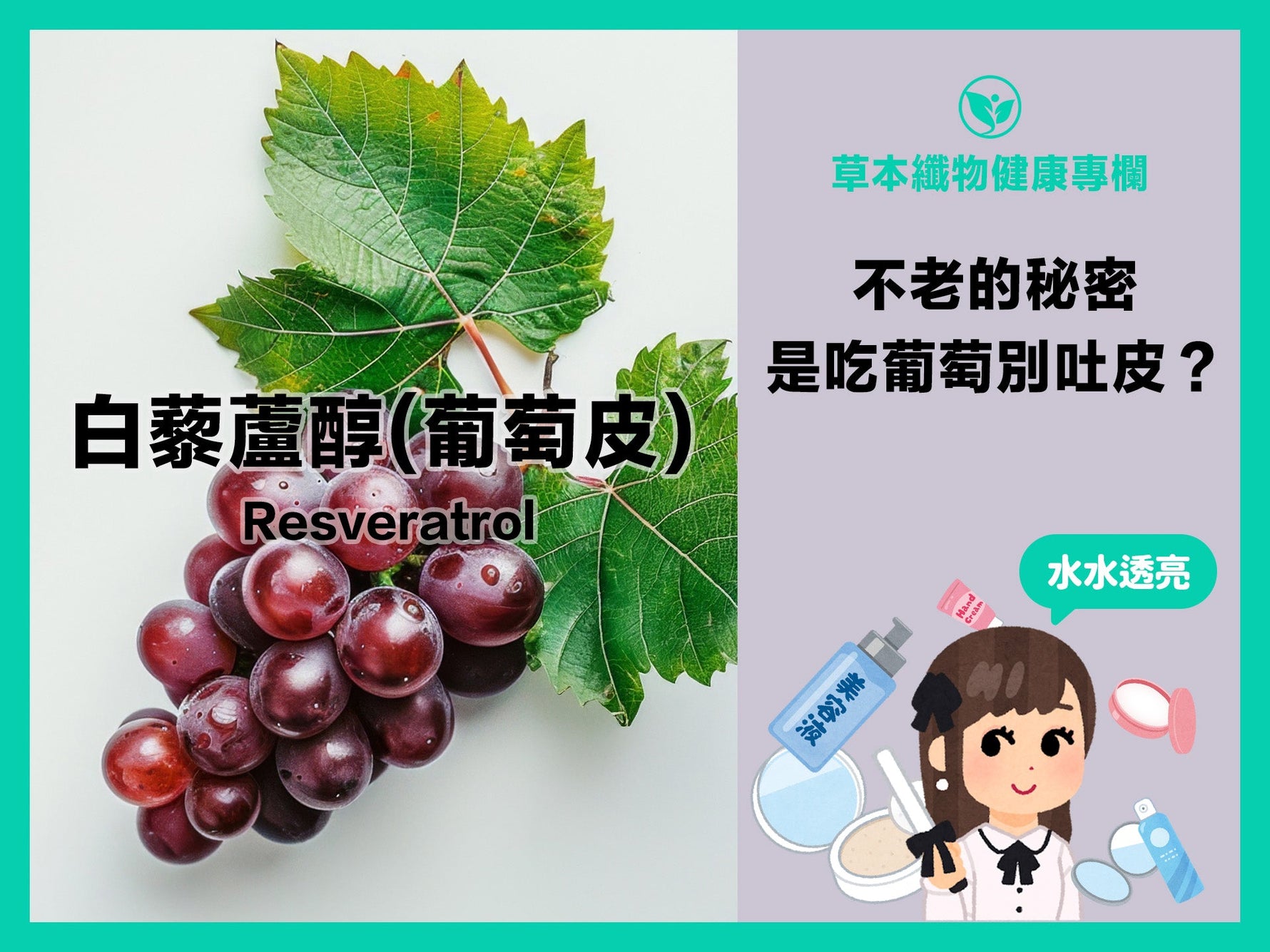 顏色越深的水果吃了越白？原因是「白藜蘆醇」的帶來的功效